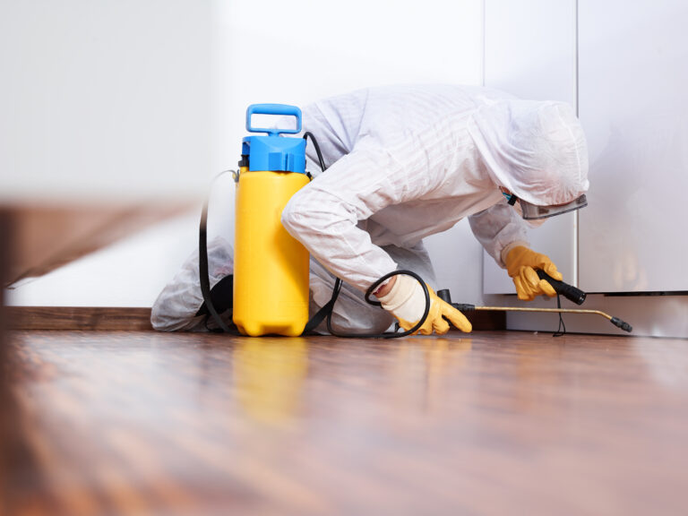 Pest control service